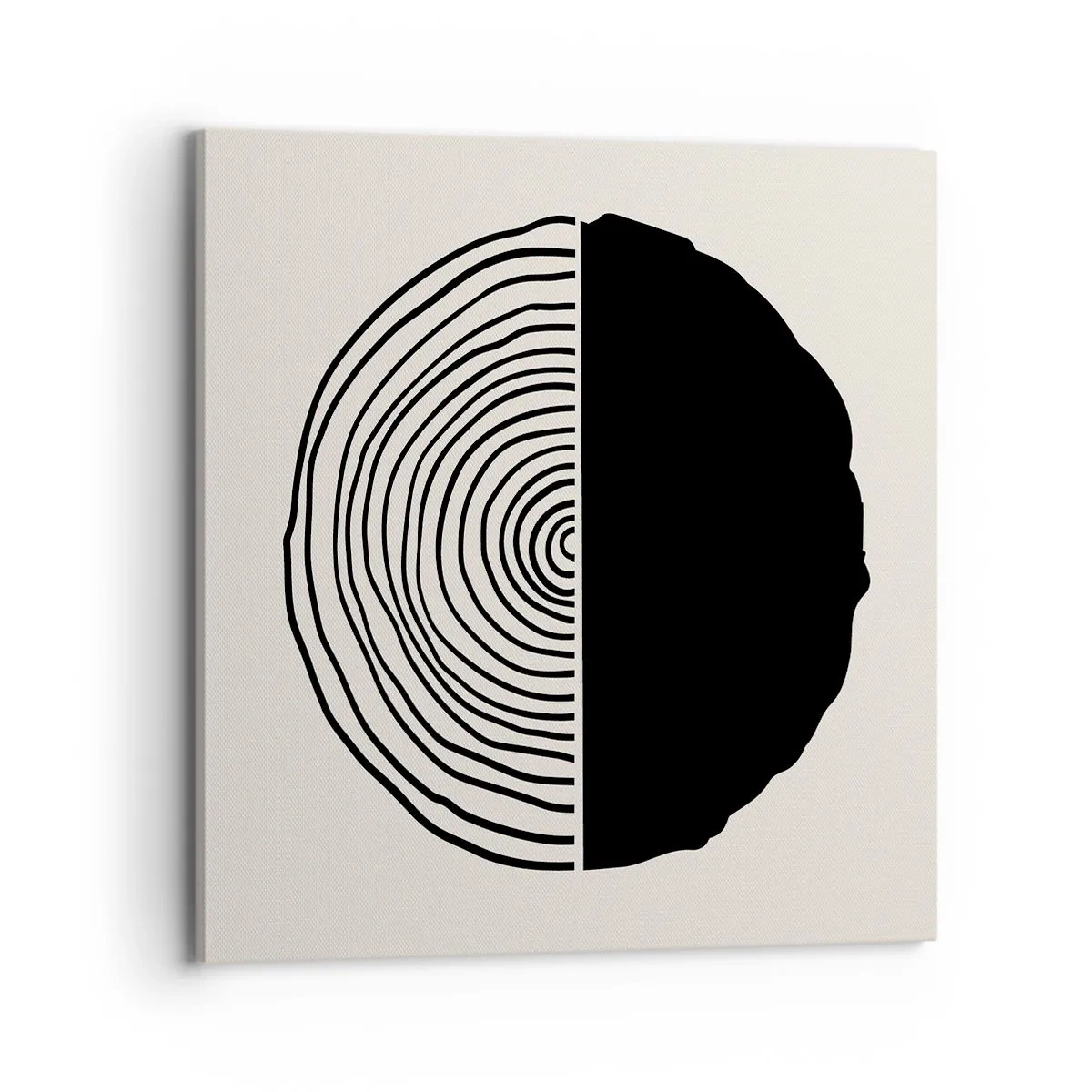 Obraz na plátně - Půl na půl - 70x70 cm