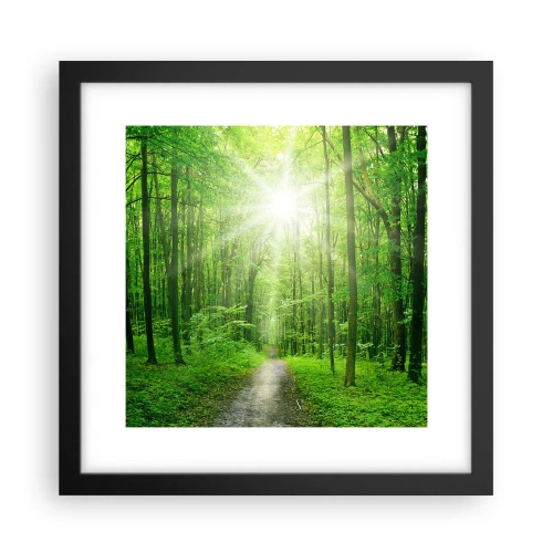 Plakát v černém rámu - Zelená katedrála - 30x30 cm