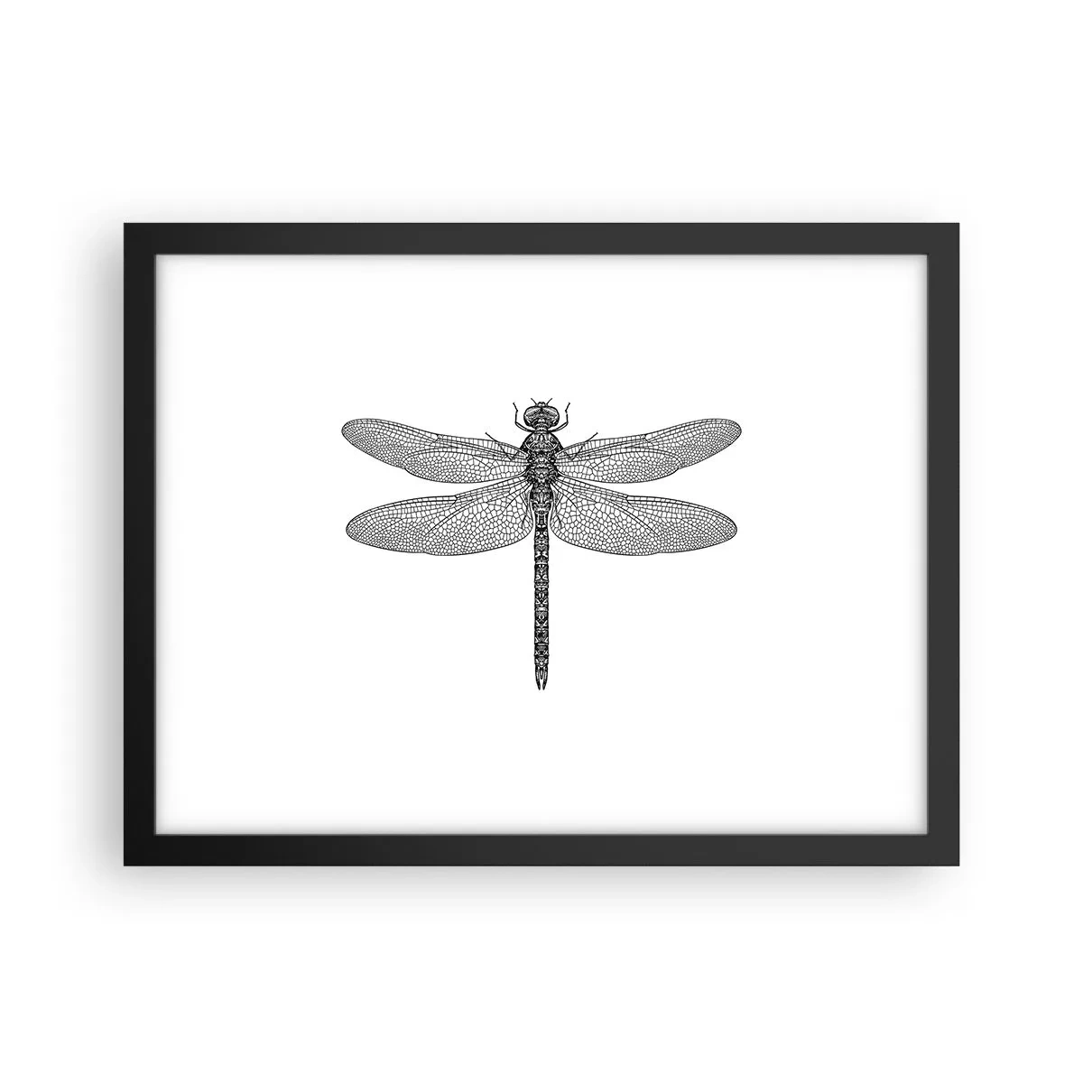 Plakát v černém rámu - Přesnost přírody - 40x30 cm