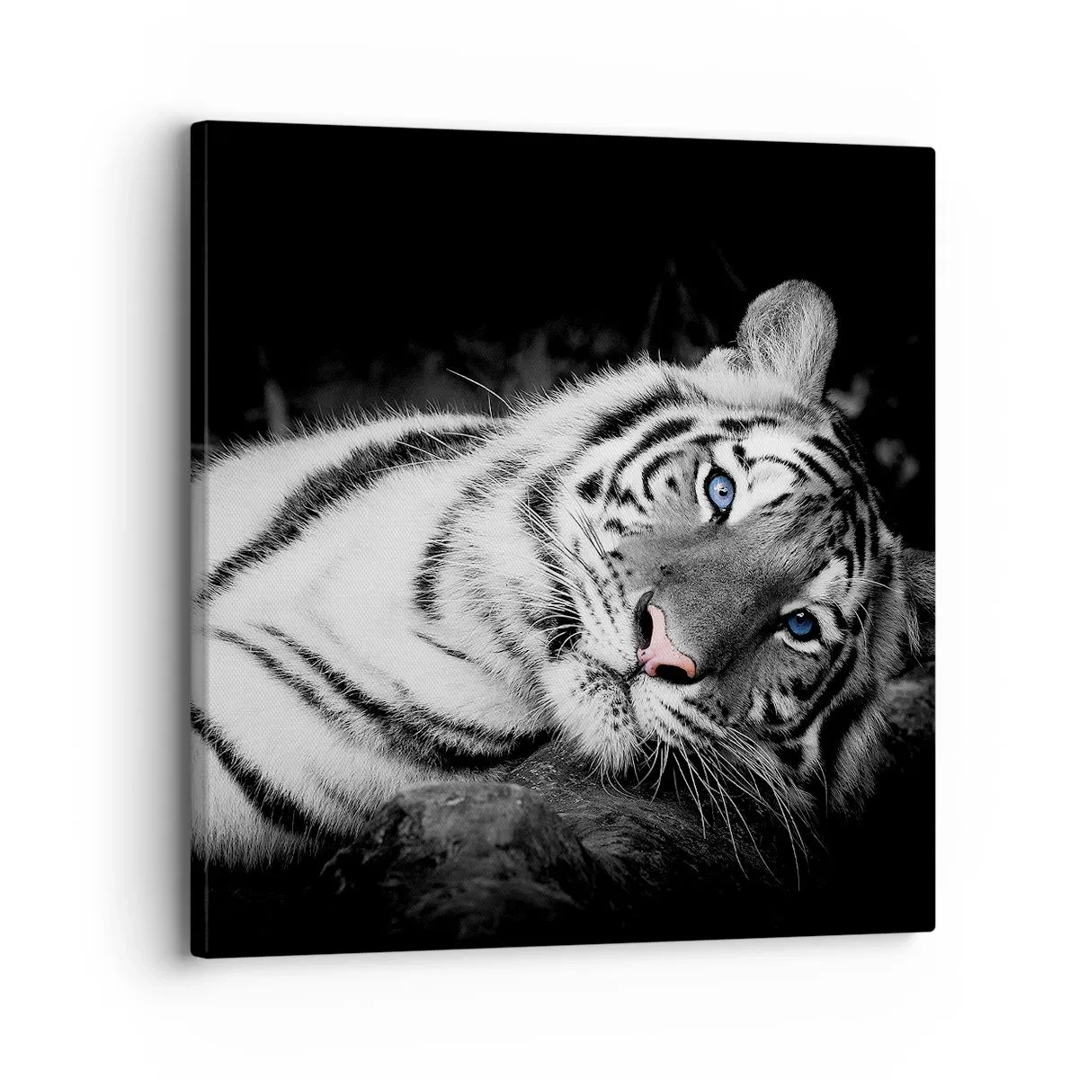 Obraz na plátně - Divočina a klid - 30x30 cm