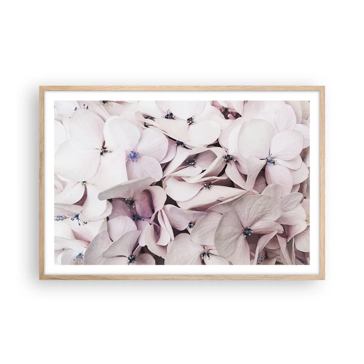 Plakát v rámu světlý dub - V záplavě květin - 91x61 cm