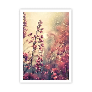 Plakát - Tajná zahrada - 70x100 cm