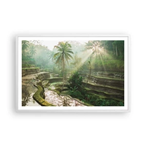 Plakát v bílém rámu - Vyrůstát na slunci - 91x61 cm