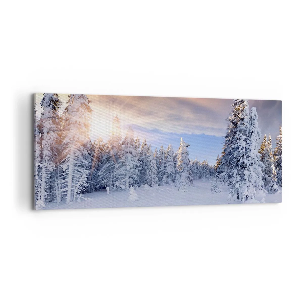 Obraz na plátně - Sněžné představení přírody - 100x40 cm