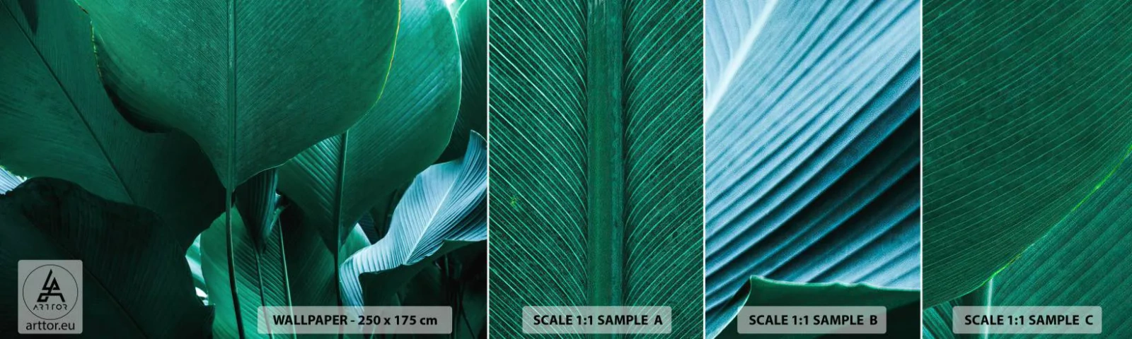 Fototapeta Vzorek Standard Eco - Obrácené ke světlu - Banánový list, Banánovník, Rostlina - 100x30 cm