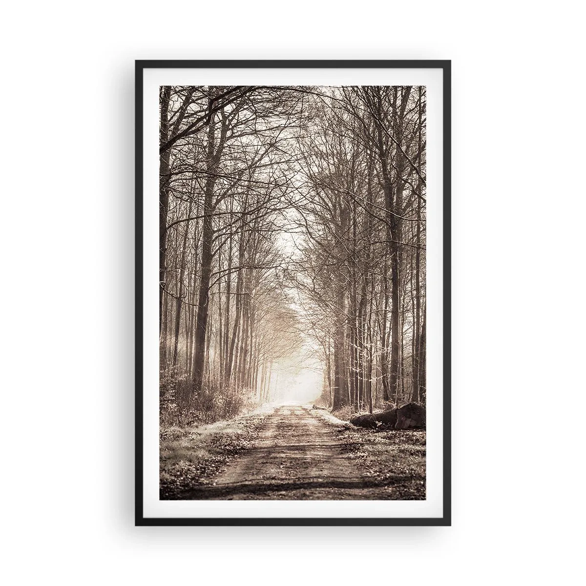 Plakát v černém rámu - Lesní katedrála - 61x91 cm