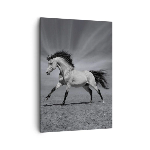 Obraz na plátně - Zrozen pro potěšení - 50x70 cm