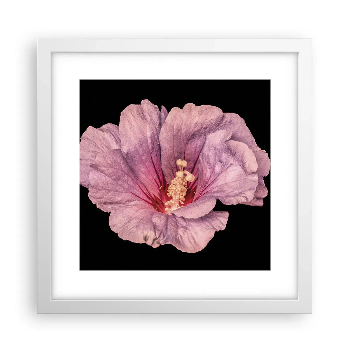 Plakát v bílém rámu - Přímo do srdce - 30x30 cm