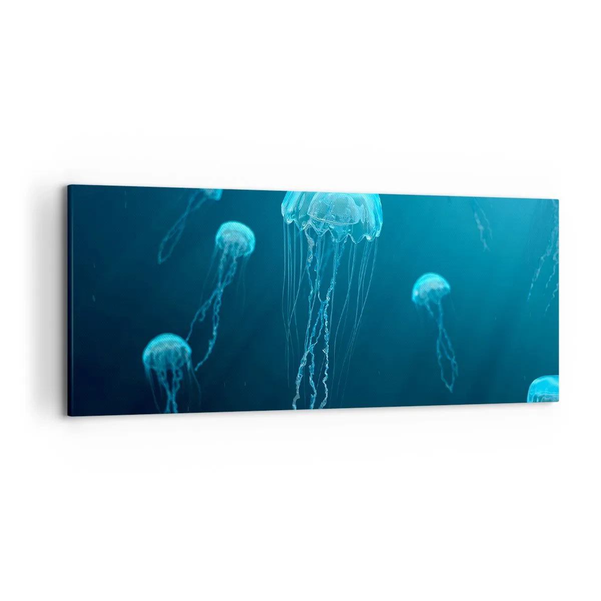 Obraz na plátně - Oceánský tanec - 120x50 cm