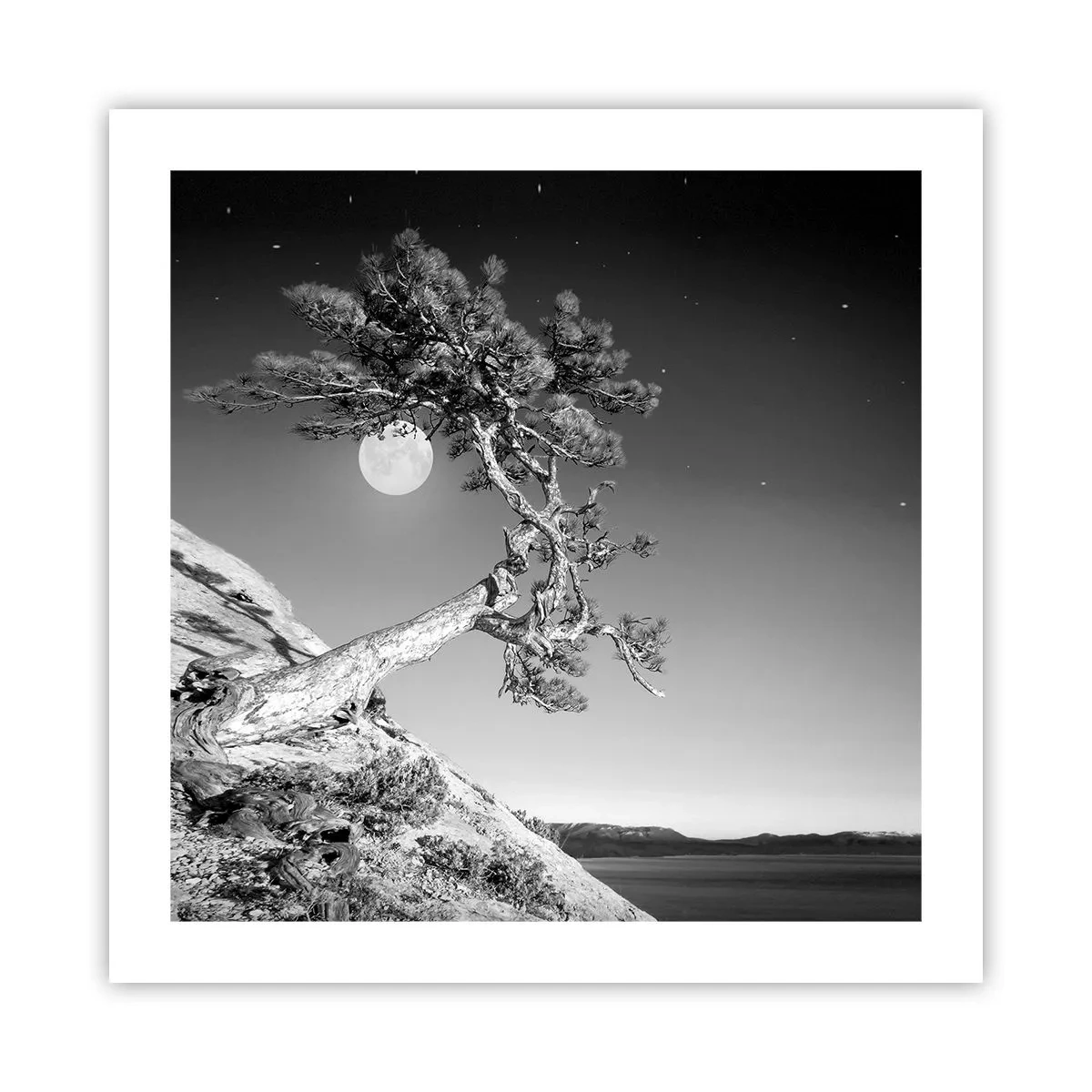 Plakát - Vítězná válečnice - 50x50 cm