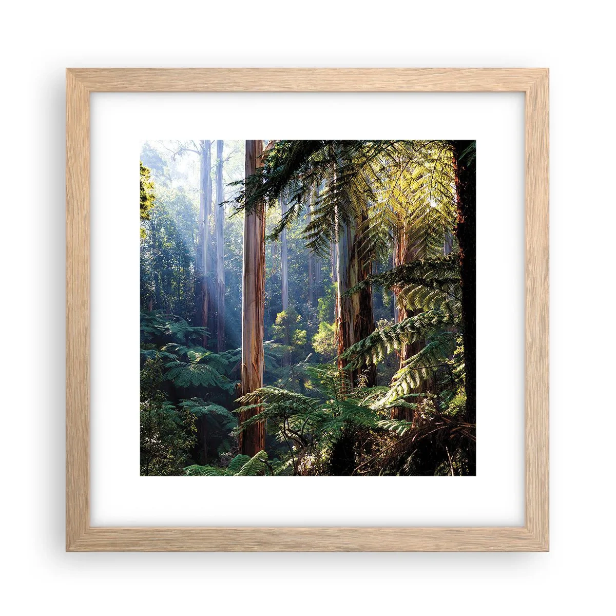 Plakát v rámu světlý dub - Povídka lesa - 30x30 cm