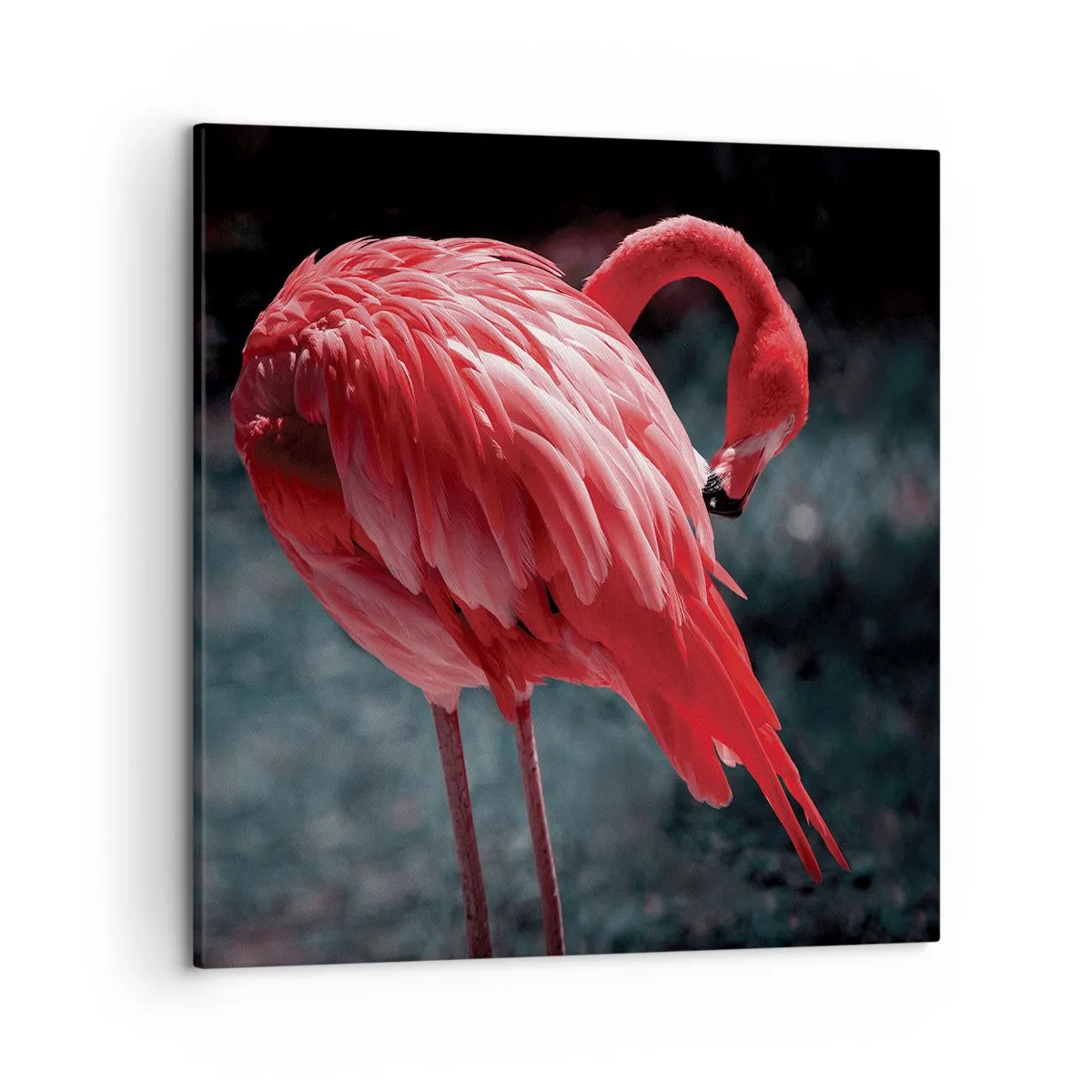 Obraz na plátně - Karmínová báseň přírody - 50x50 cm