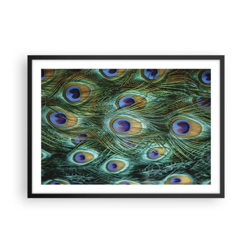 Plakát v černém rámu - Paví pohled - 70x50 cm