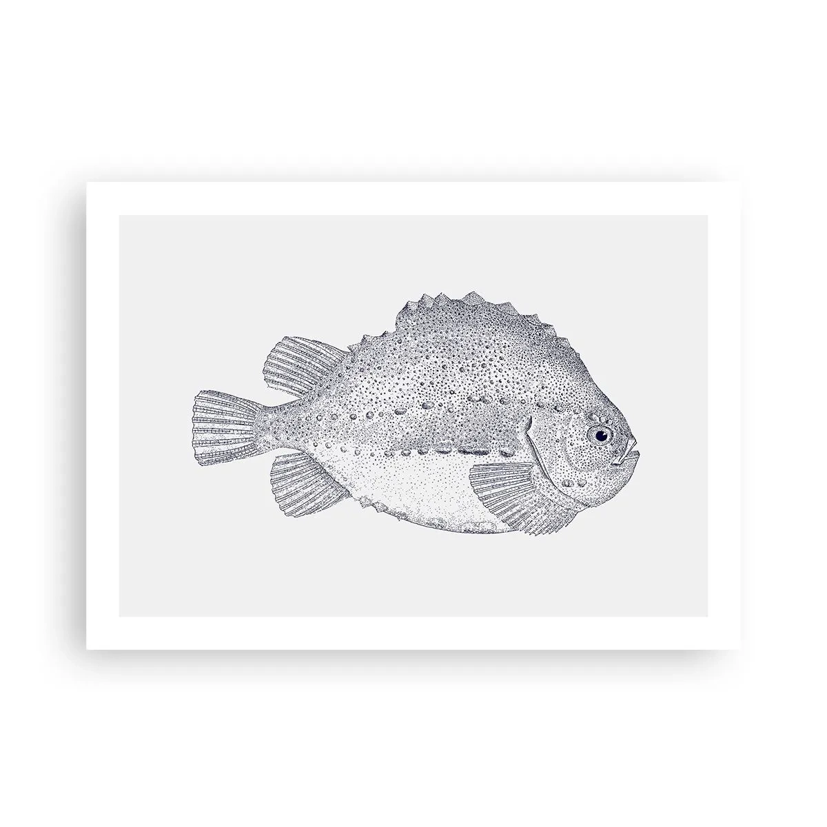 Plakát - Do alba přírodovědce - 70x50 cm