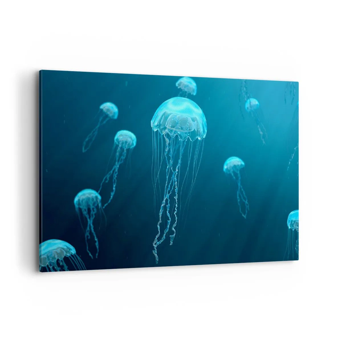 Obraz na plátně - Oceánský tanec - 100x70 cm