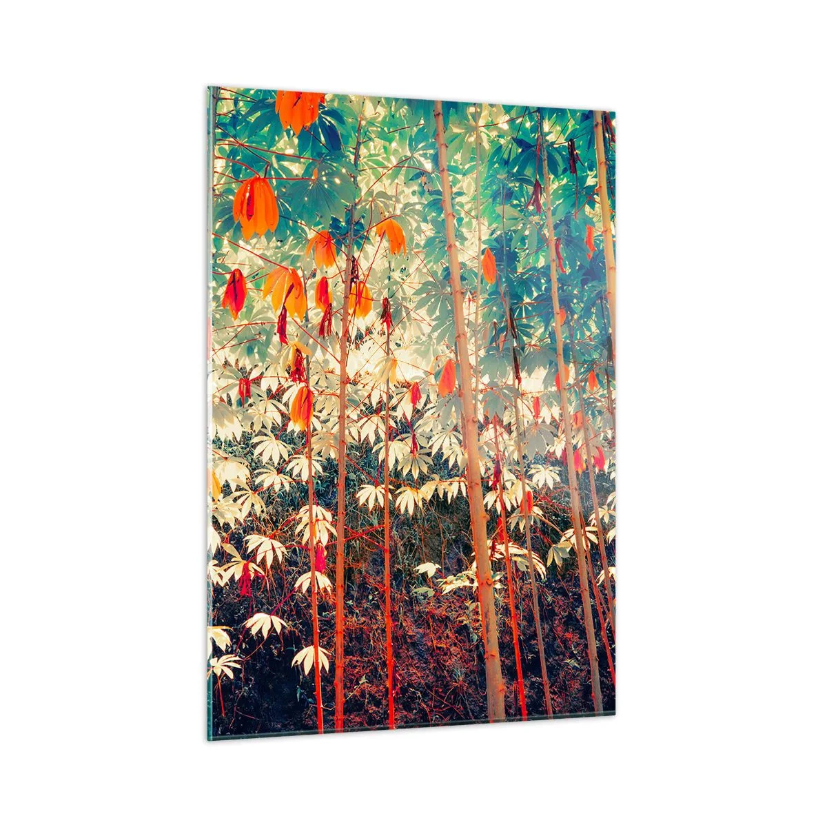Obraz na skle - Tajný život listů - 50x70 cm