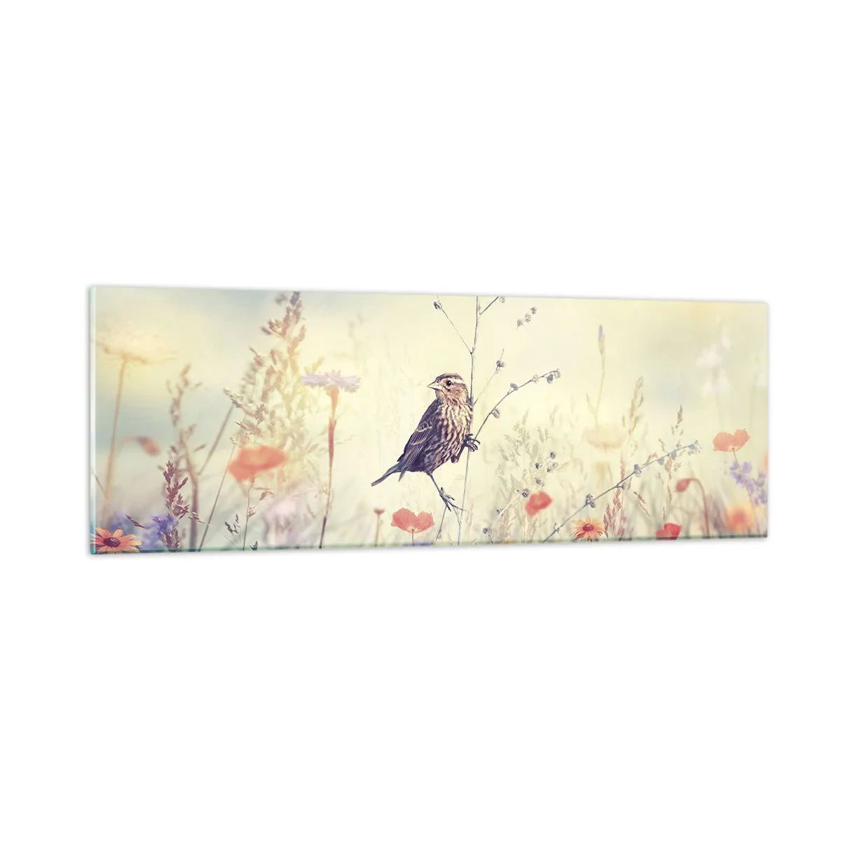 Obraz na skle - Portrét ptáka s loukou v pozadí - 90x30 cm