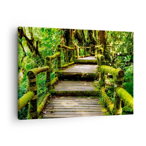 Obraz na plátně - Dřevěný most pokrytý mechem v tropickém deštném pralese - 70x50cm - Chodbou zeleně - Moderní nástěnná dekorace do obývacího pokoje a ložnice ARTTOR