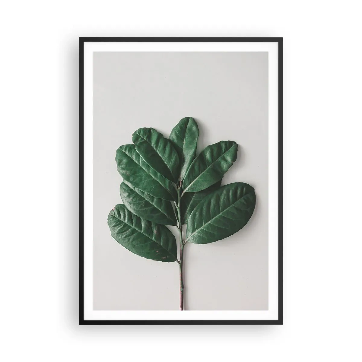 Plakát v černém rámu - Kresba samotné přírody - 70x100 cm