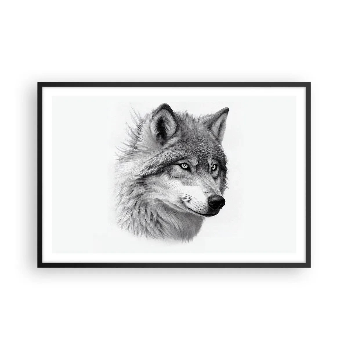 Plakát v černém rámu - Alfa – bezpochybně - 91x61 cm