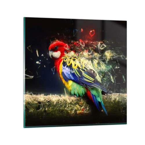 Obraz na skle - Posel záře - 70x70 cm
