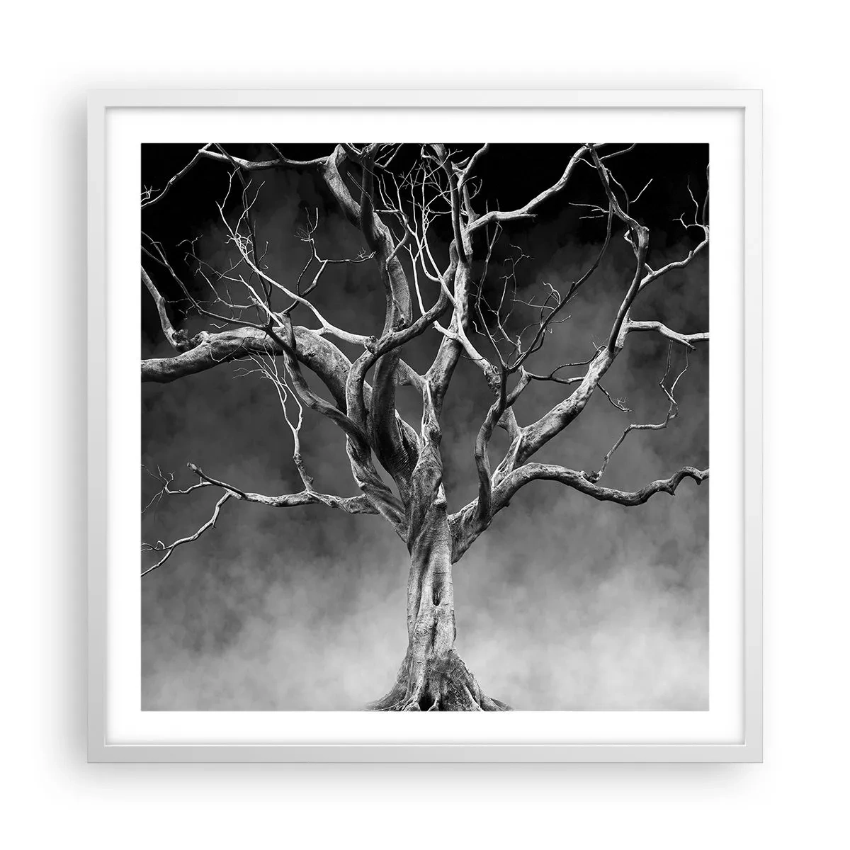 Plakát v bílém rámu - Původní a svaté - 60x60 cm
