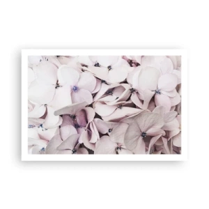 Plakát - V záplavě květin - 91x61 cm