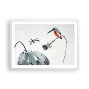 Plakát v bílém rámu - Život louky - 70x50 cm