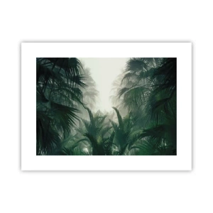 Plakát - Tropická záhada - 40x30 cm