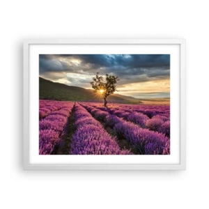 Plakát v bílém rámu - Aroma v barvě lila - 50x40 cm