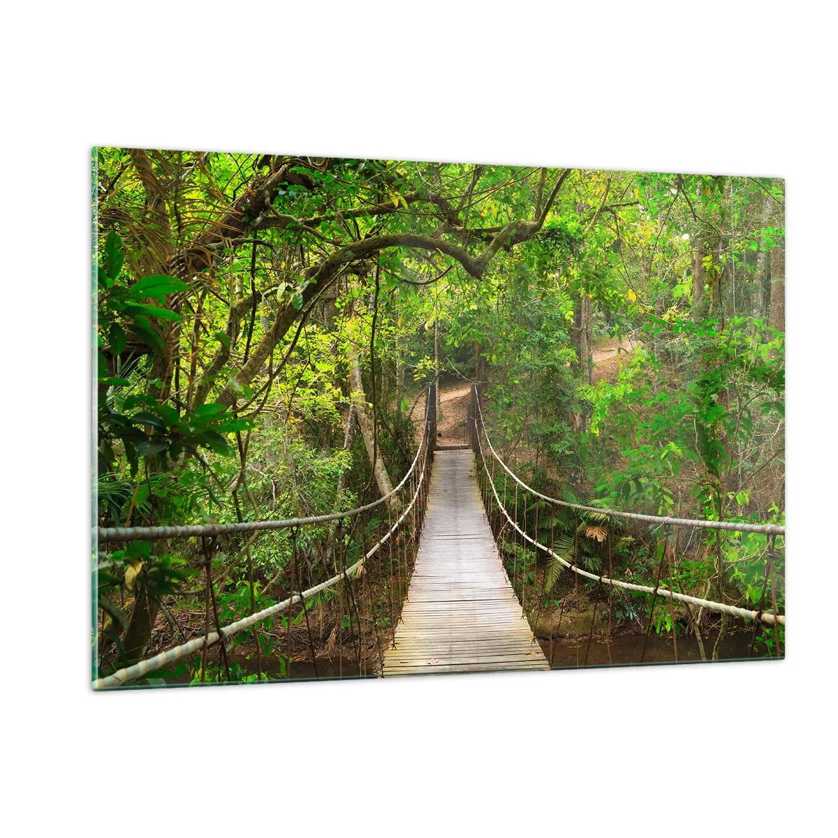 Obraz na skle - Protože na zahradě rostou popínavé rostliny - 120x80 cm