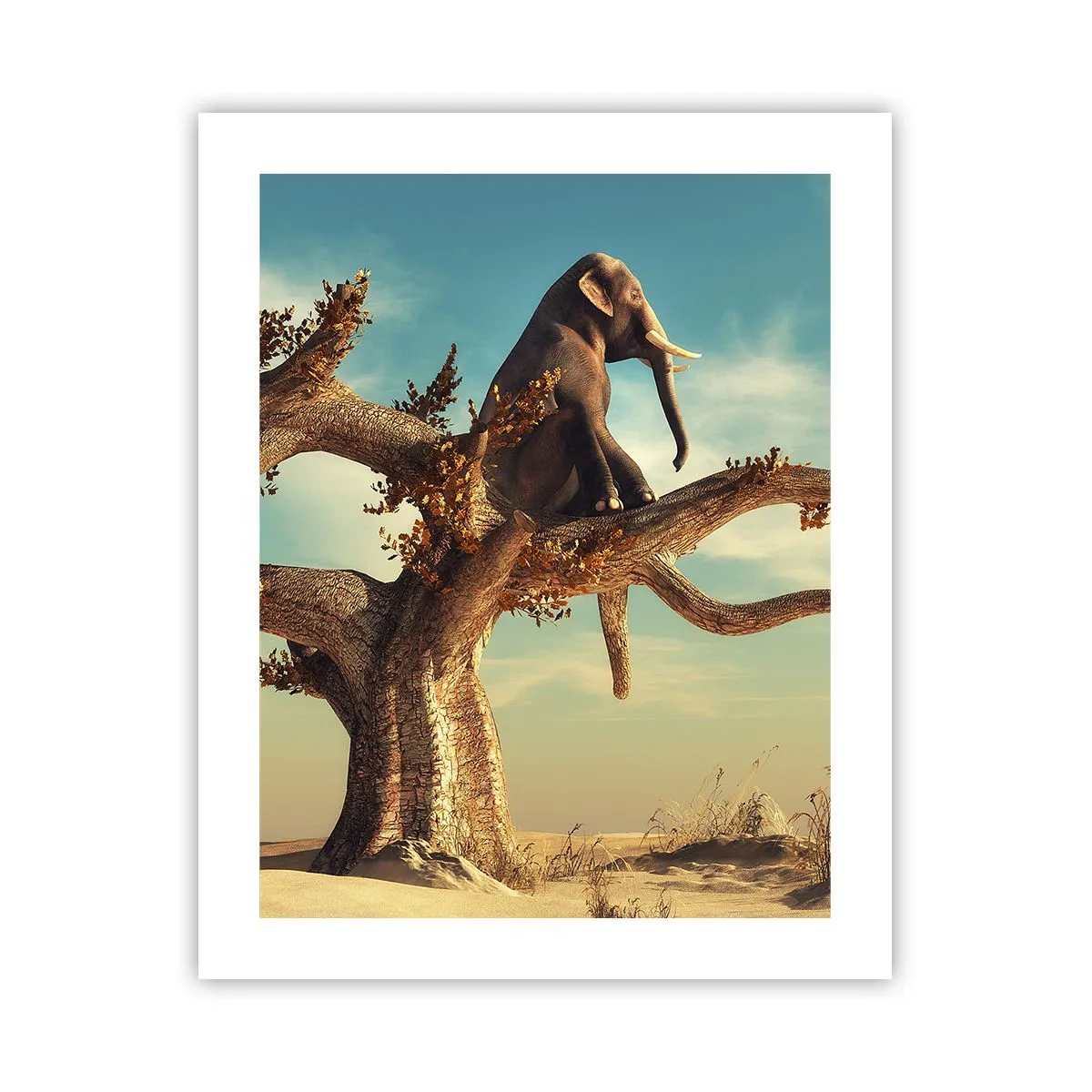 Plakát - Nový úhel pohledu - 40x50 cm