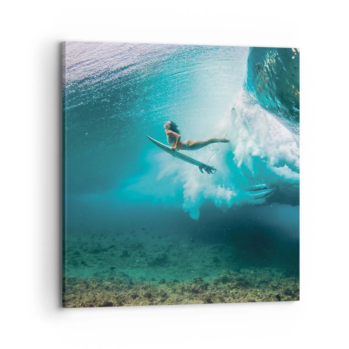 Obraz na plátně - Podmořský svět - 70x70 cm