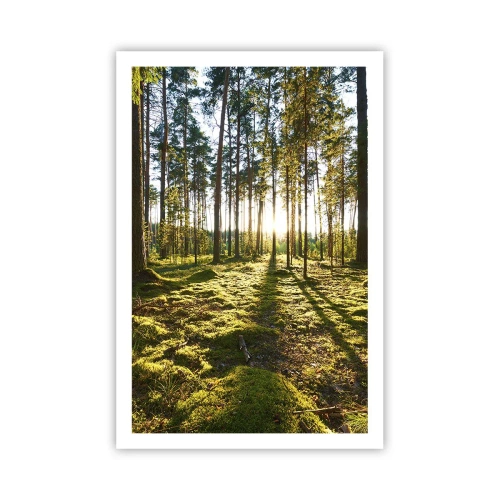 Plakát - …Za sedmero lesy - 61x91 cm