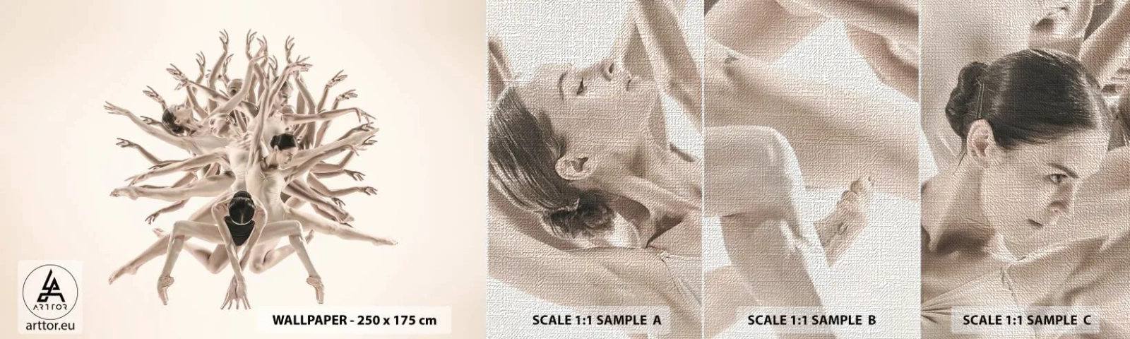 Vzor Fototapety Premium Canvas - Rozkvět v tanci - Abstrakce, Kus, Balet - 100x30 cm