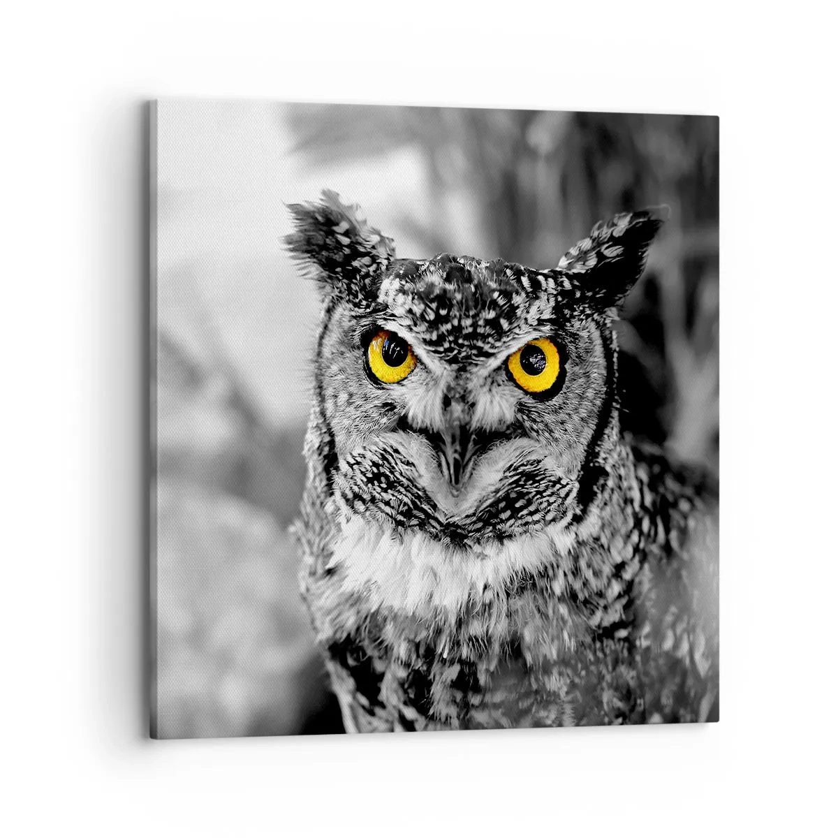 Obraz na plátně - Nic se neschová - 70x70 cm