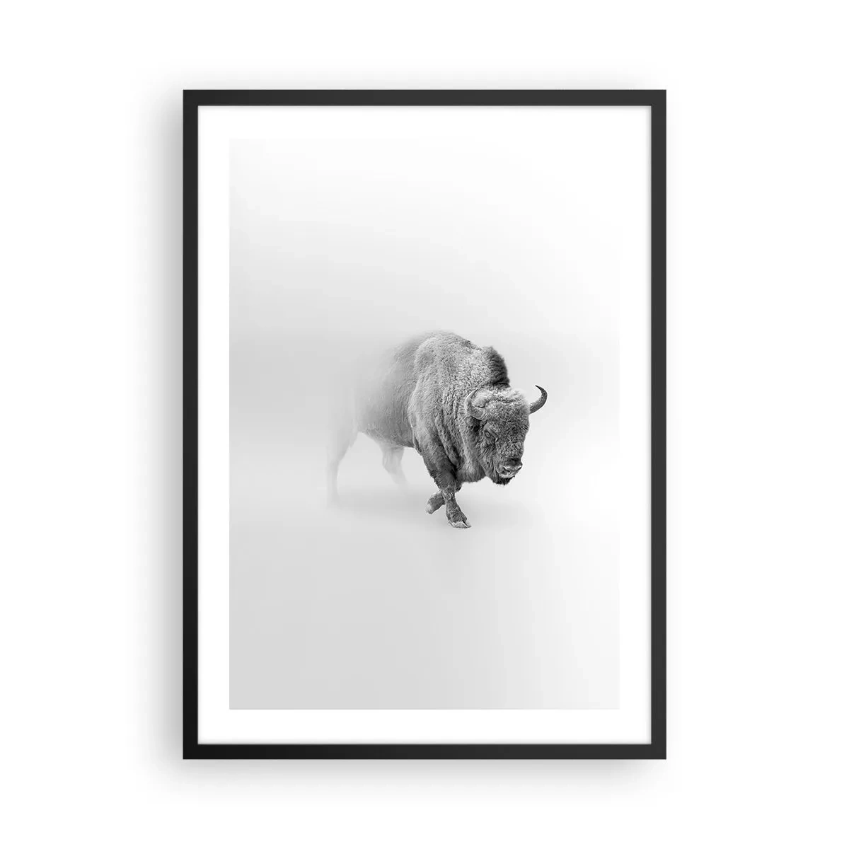 Plakát v černém rámu - Minimalistický pohled na bizona - 50x70cm - Král prérie - Moderní nástěnná dekorace do obývacího pokoje a ložnice ARTTOR