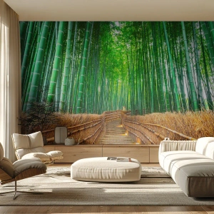 Fototapeta Standard Eco - Esence asijské přírody - Bambus, Bambusový les, Příroda - 450x315 cm