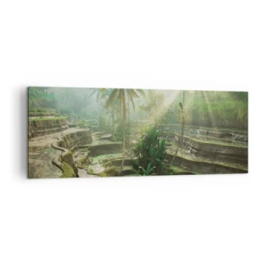 Obraz na plátně - Vyrůstát na slunci - 140x50 cm