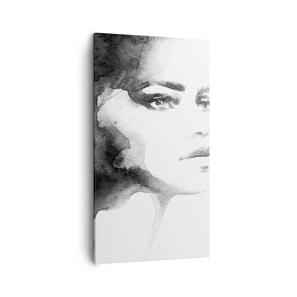 Obraz na plátně - Vytvořená z tajemství a mlhy - 45x80 cm