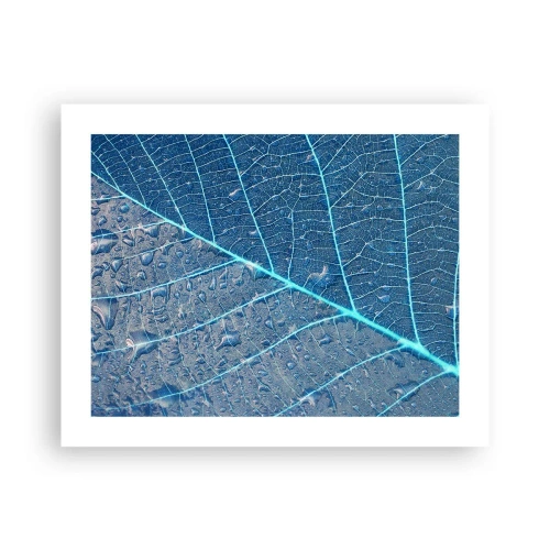 Plakát - Život v modři - 50x40 cm