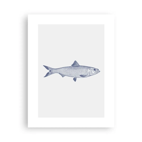 Plakát - Pozdravy ze severních moří - 30x40 cm