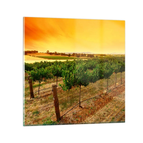 Obraz na skle - Napít se slunce - 70x70 cm