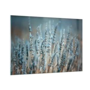 Obraz na skle - Voňavý lán - 100x70 cm