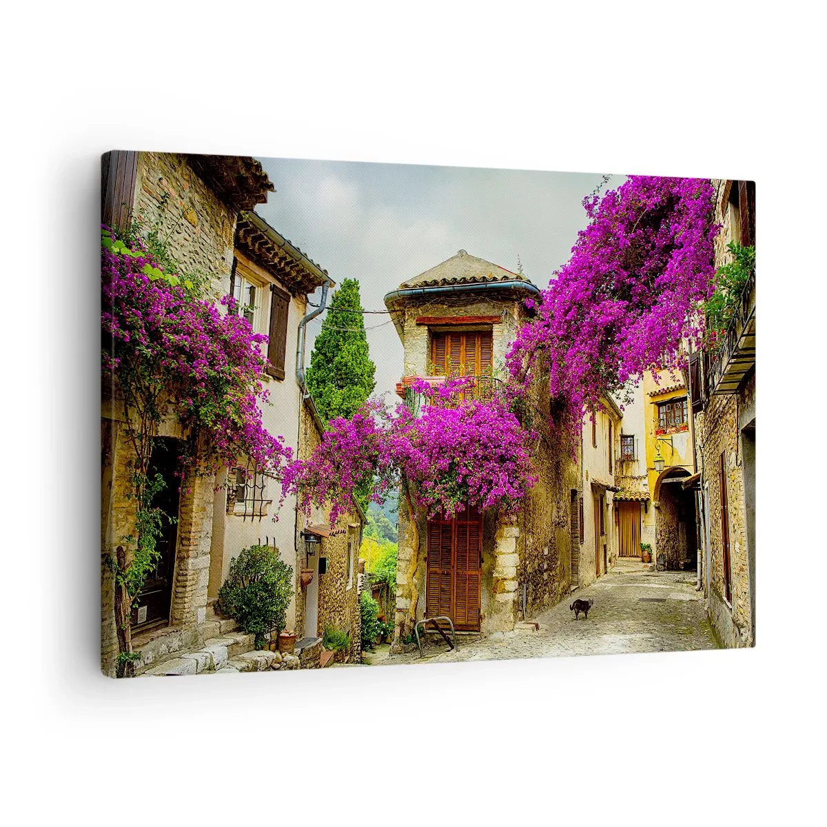 Obraz na plátně - Kamenná ulice s růžovými květinami a domy - 70x50cm - Pod květinovým baldachýnem - Moderní nástěnná dekorace do obývacího pokoje a ložnice ARTTOR