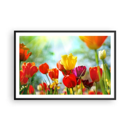 Plakát v černém rámu - Všechny barvy slunce - 91x61 cm