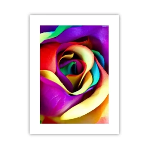 Plakát - To není možné - 30x40 cm