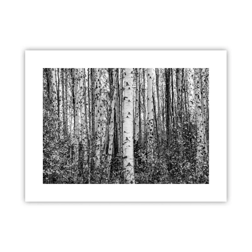 Plakát - Březová kolonáda - 40x30 cm