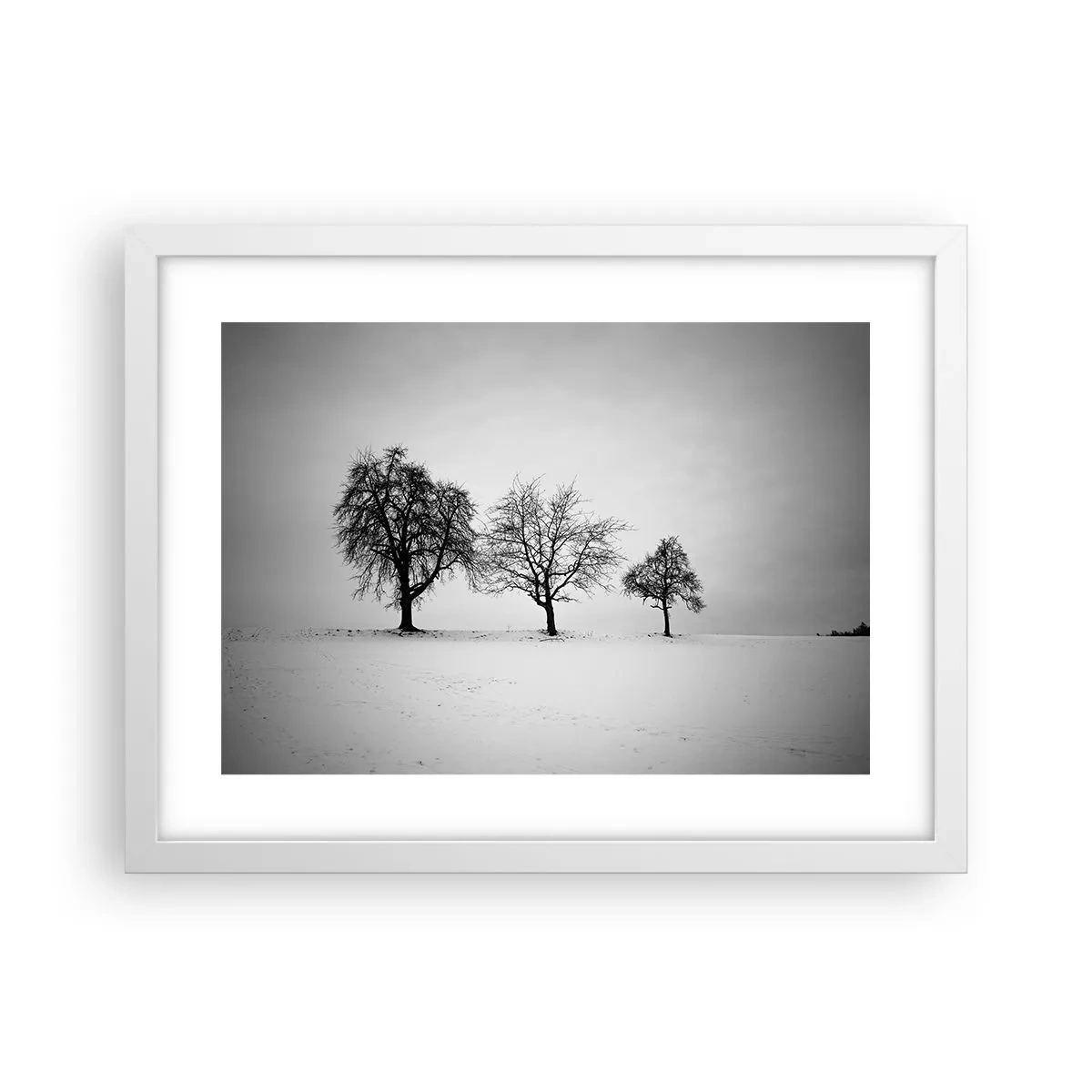 Plakát v bílém rámu - O čem sní? - 40x30 cm