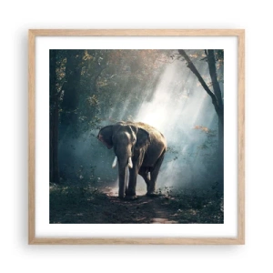 Plakát v rámu světlý dub - Klidná procházka - 50x50 cm